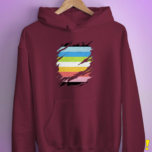 Queer Pride Flag Ripped Reveal Hoodie